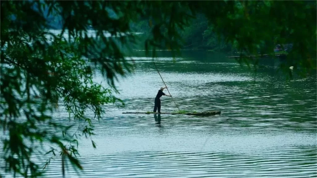 10 dingen om te doen in Shunan Bamboo Forest