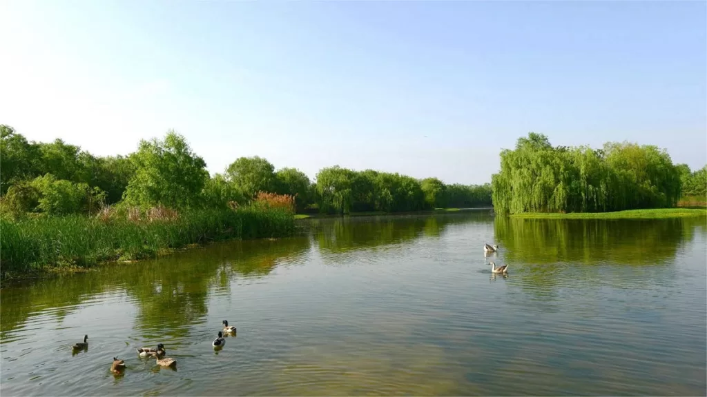 7 faits sur le parc national des zones humides de Chanba, Xi'an