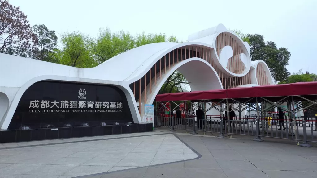 Chengdu Research Base of Giant Panda Breeding - Kaartje, openingstijden, hoogtepunten en tips