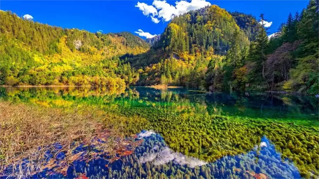 Lac aux cinq fleurs de la vallée de Jiuzhai - Une beauté enchanteresse