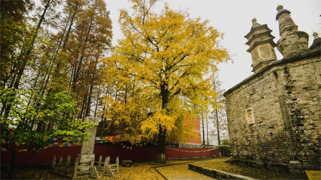 Guangde Temple, Xiangyang – Ticket, Opening Hours, Location, and Highlights