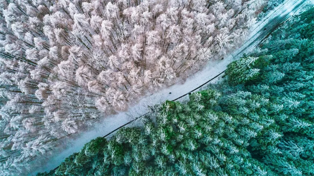 Parque Ecológico Nacional del Karst de Shanwangping, Chongqing - Precio de la entrada, horarios de apertura, transporte y aspectos destacados