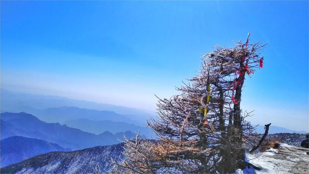 The climate in Qingling Mountains