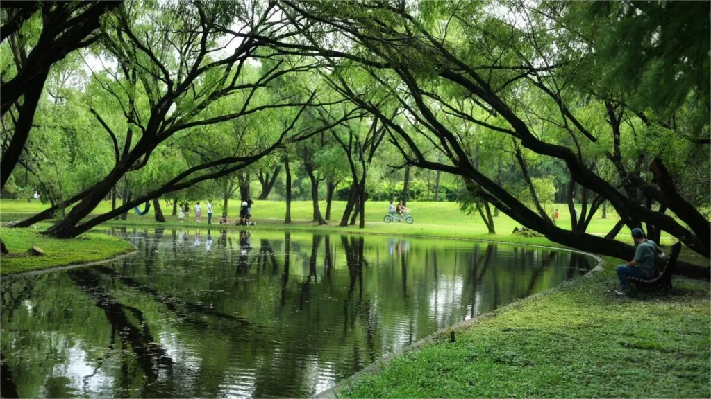 Top 10 beroemde parken in Shanghai