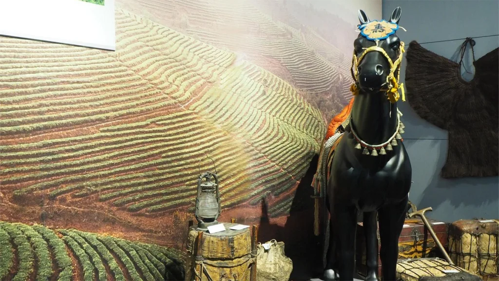 Ancient Tea Horse Road Museum - Kaartje, openingstijden, locatie en hoogtepunten