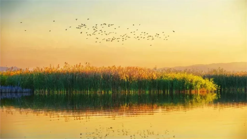 Baoyinghu National Wetland Park - Kaartje, openingstijden, locatie en hoogtepunten