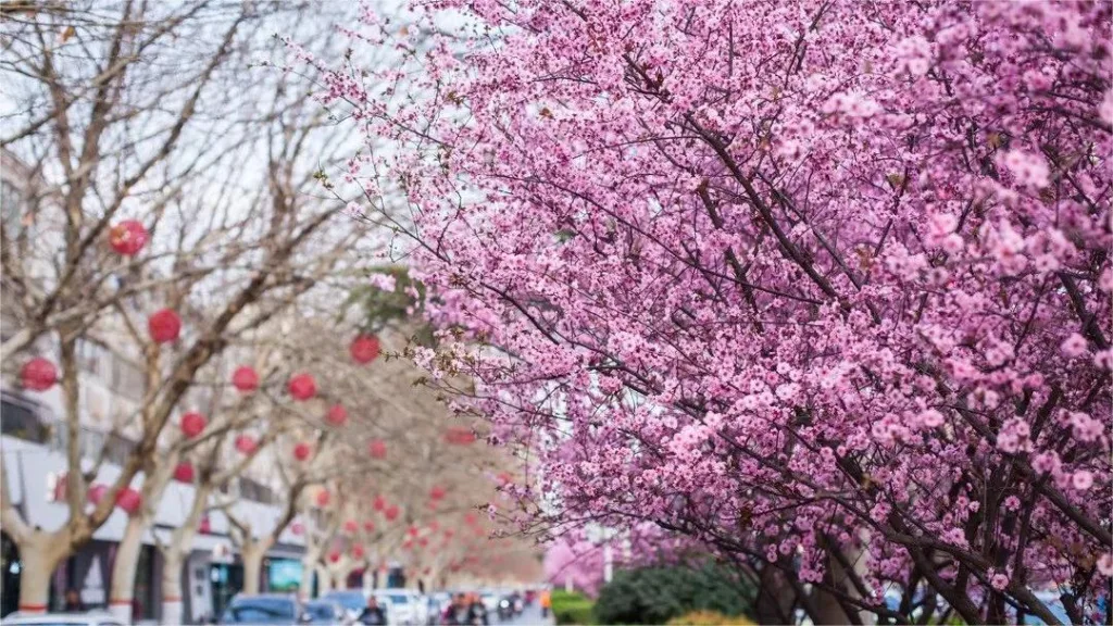 Bishagang Park, Zhengzhou - Kaartje, openingstijden, locatie en hoogtepunten