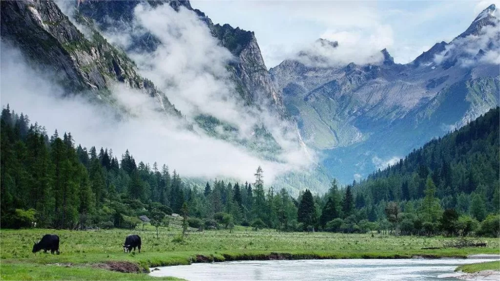 Valle de Changping, Sichuan - Precio de la entrada, horario de apertura, ubicación y puntos destacados