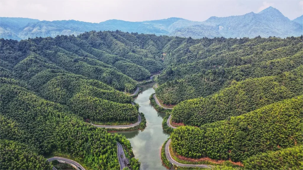 Floresta de Bambu de Chishui - Bilhete, horário de abertura, localização e destaques