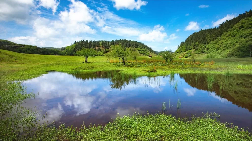 Chongqing Fairy Mountain - Ticketprijs, openingstijden, locatie en hoogtepunten