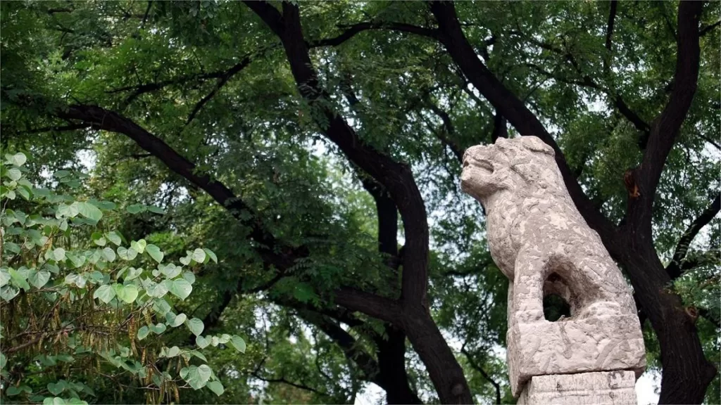 Templo de Confúcio em Xi'an - um importante sítio cultural e histórico