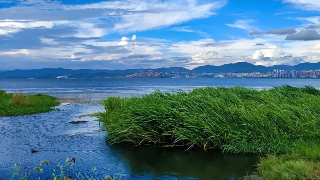 Erhaiyue Wetland Park - Eintrittskarten, Öffnungszeiten, Lage und Highlights