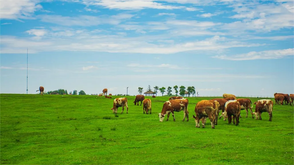 Fangmaping Alpine Grassland - Bilhete, horário de funcionamento, localização e destaques