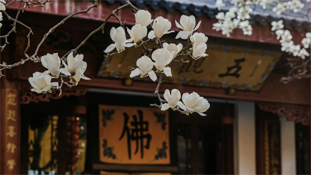 Templo Faxi, Hangzhou - Entradas, horarios, ubicación y puntos de interés