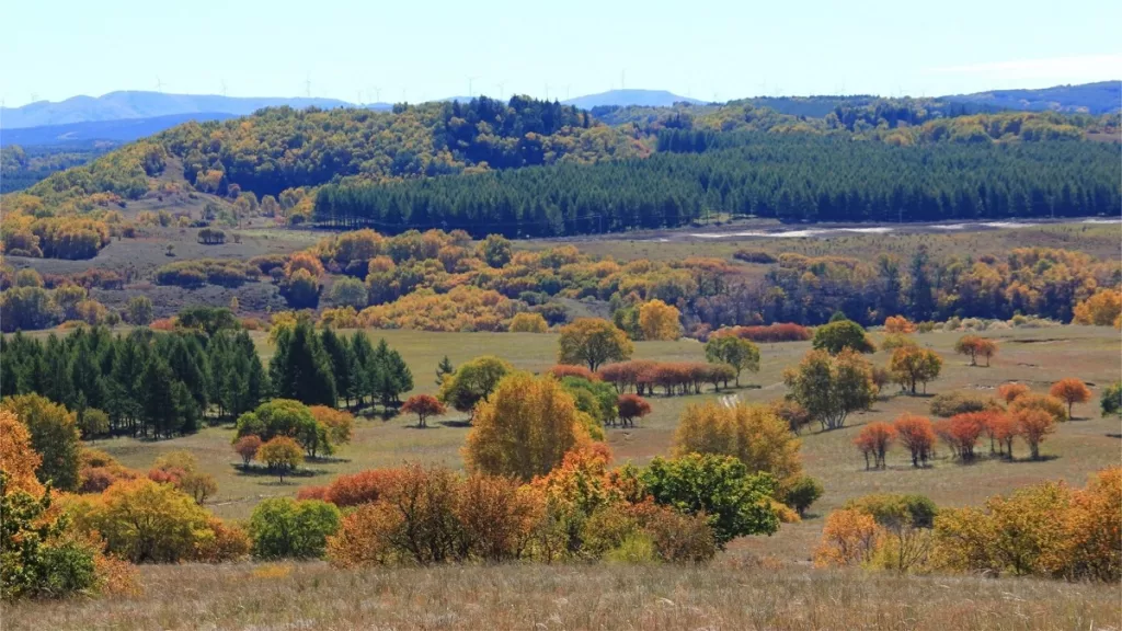 Fengning Grassland - Eintrittspreise, Öffnungszeiten, Lage und Highlights