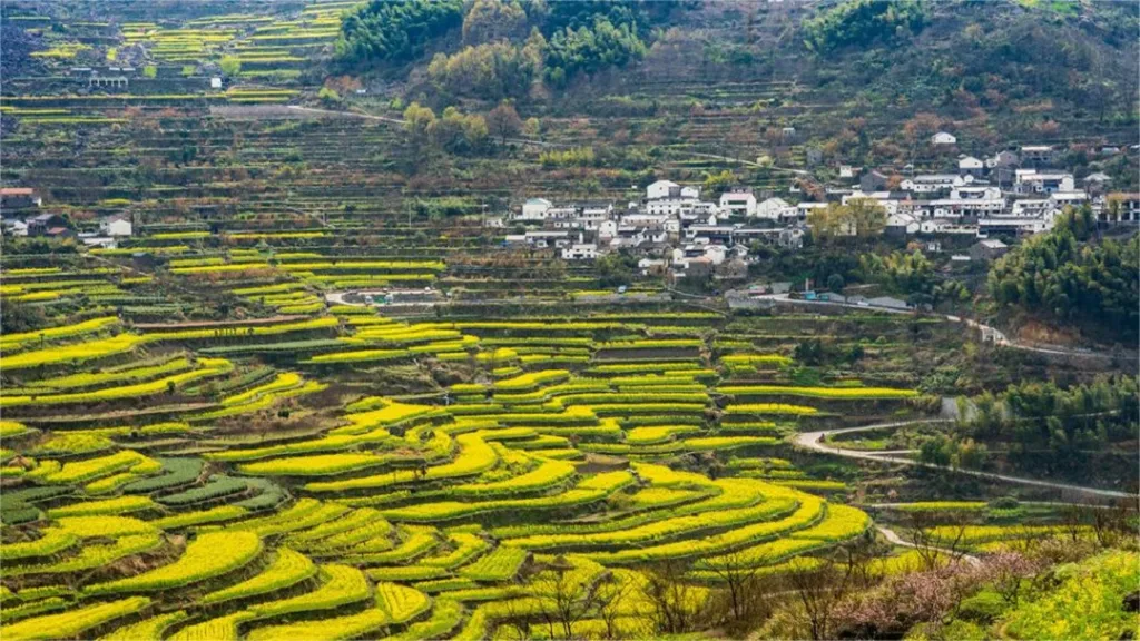 Fuzhi Mountain Scenic Area, Shaoxing - Eintrittskarten, Öffnungszeiten, Lage und Highlights