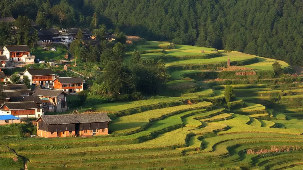 Terraços de arroz de Gaoyao - Bilhete, horário de funcionamento, localização e destaques