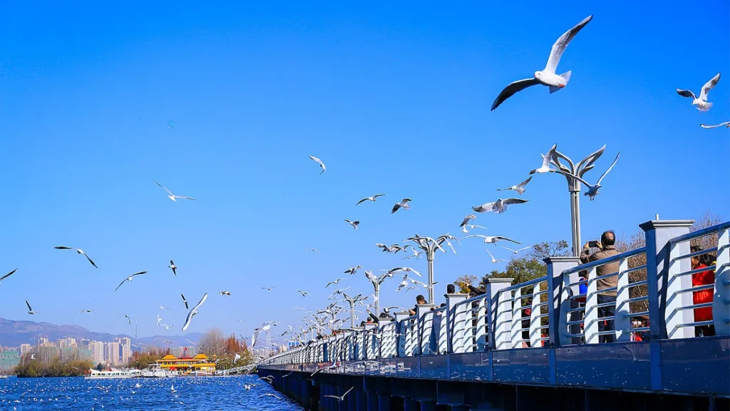 Presa de Haigeng, Kunming - Entradas, horarios, ubicación y principales atracciones