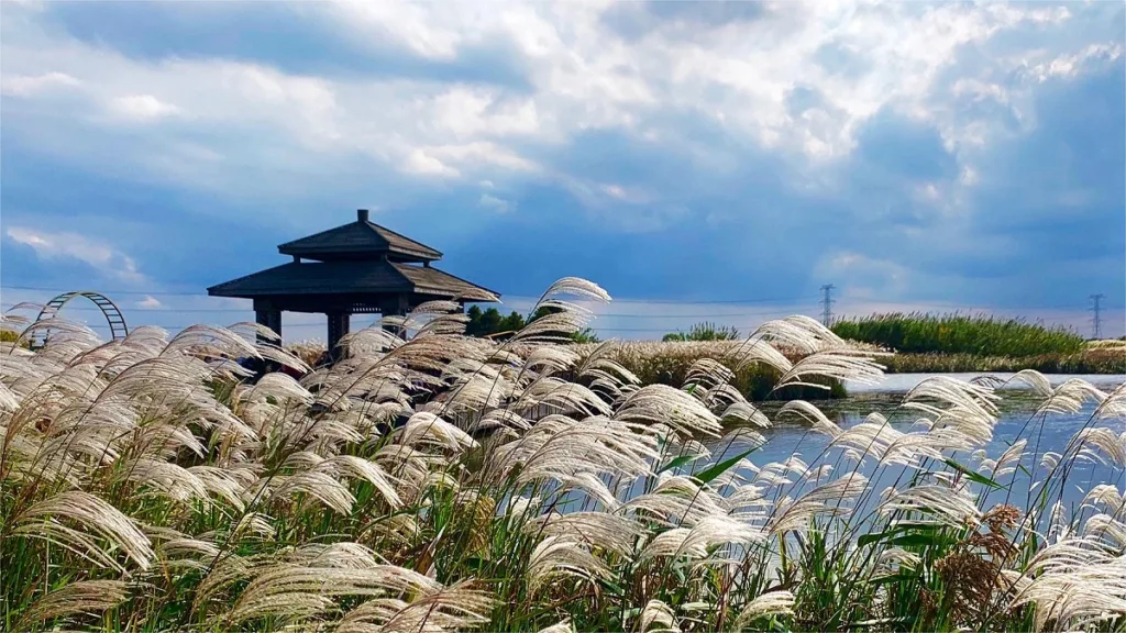 Hangzhou Bay National Wetland Park - Kaartje, openingstijden, locatie en hoogtepunten