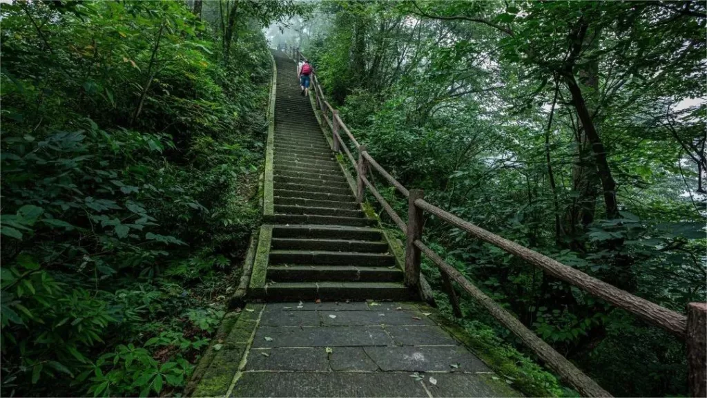 Senderismo en el monte Emei - un viaje a través de la majestuosa belleza y la tranquilidad espiritual