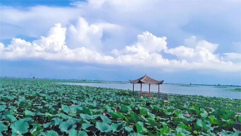 洪湖生态旅游风景区 - 门票、开放时间、位置和亮点