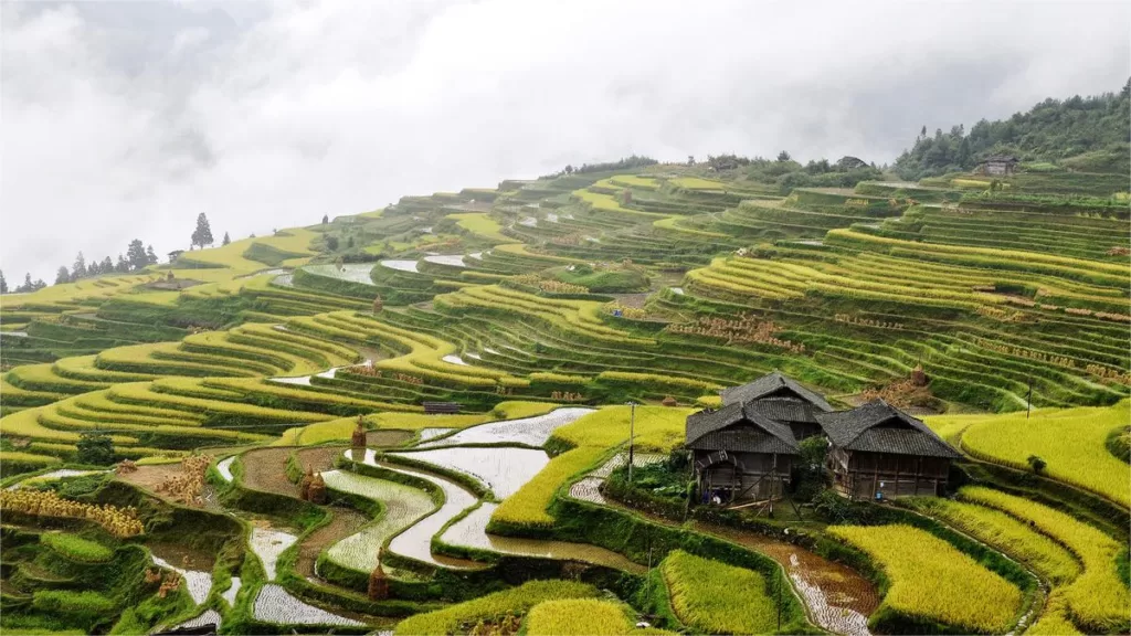 Terraços de arroz de Jiabang - Bilhete, horário de funcionamento, localização e destaques