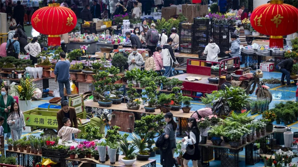 Dounan Bloemenmarkt, Kunming - Kaartje, openingstijden, locatie en hoogtepunten