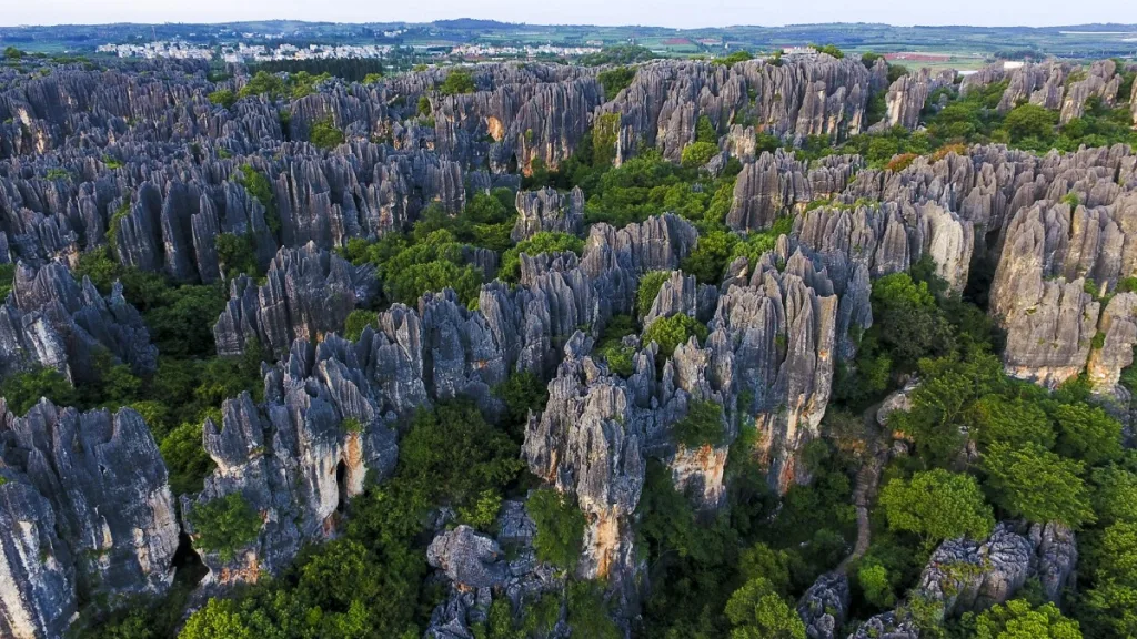 Kunming Stone Forest - Eintrittskarte, Öffnungszeiten, Standort und Highlights