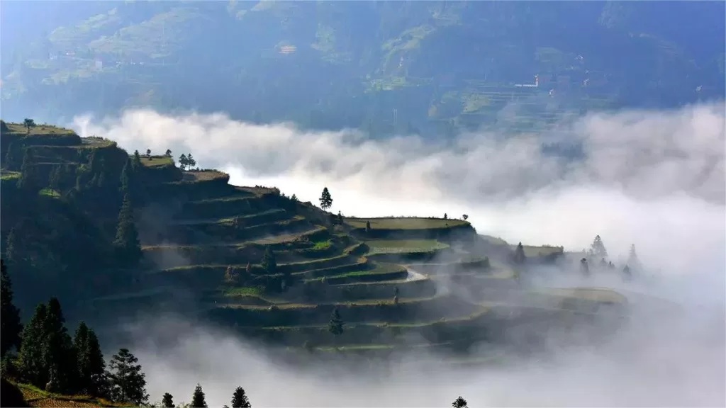 Parc national forestier du mont Leigong - Billets d'entrée, heures d'ouverture, emplacement et points forts