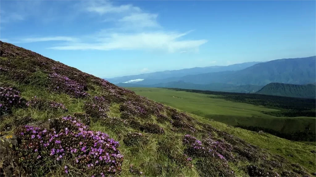 Reserva Natural de Mabian Dafengding - Entradas, horarios, ubicación y lugares de interés