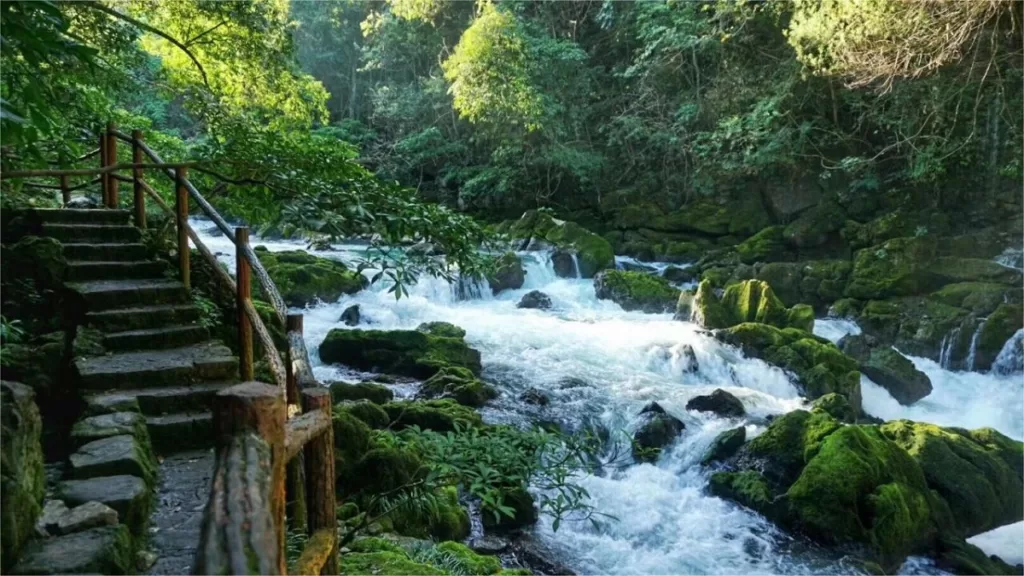 Maolan National Nature Reserve - Eintrittskarten, Öffnungszeiten, Lage und Highlights