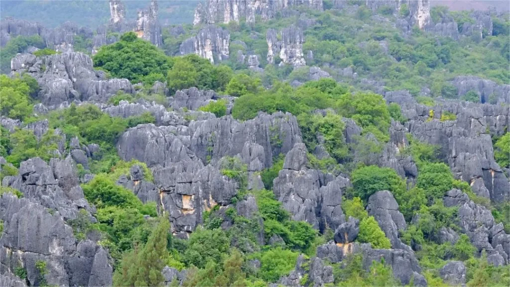 Floresta de pedra de Naigu - Bilhetes, horário de abertura, localização e destaques