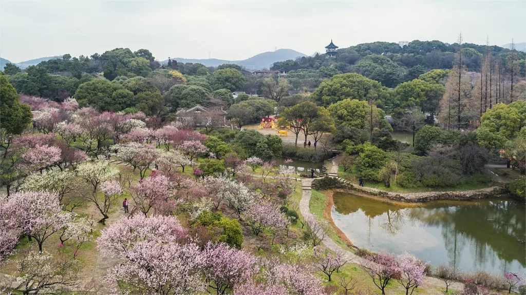 Plum Garden, Wuxi - Eintrittspreise, Öffnungszeiten, Lage und Highlights