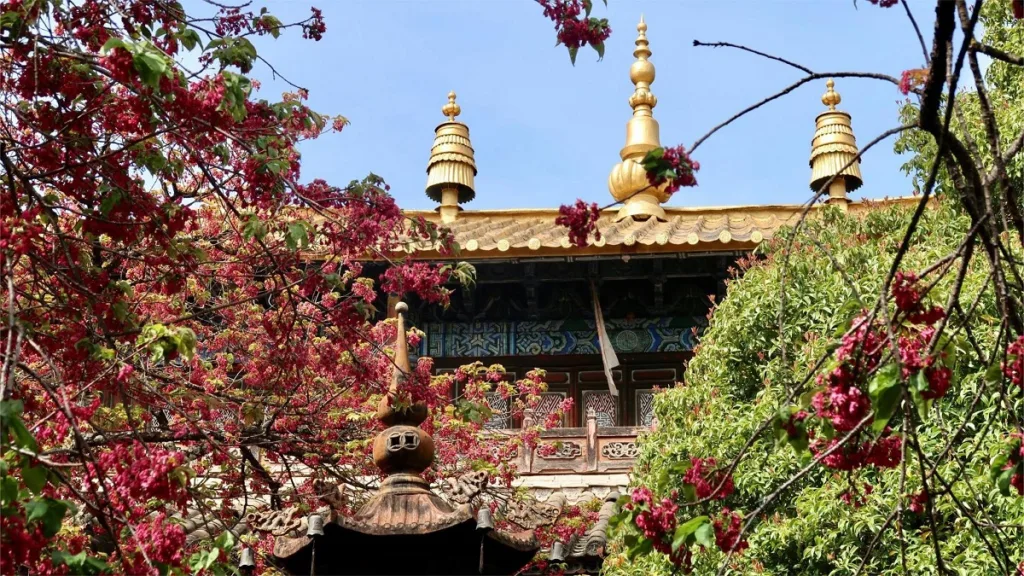 Templo Puji, Lijiang - Entrada, horario de apertura, ubicación y aspectos destacados.