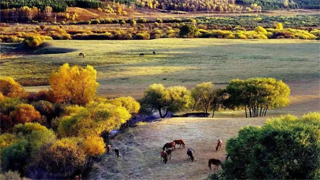 Saihanba National Forest Park - Eintrittspreise, Öffnungszeiten, Lage und Highlights