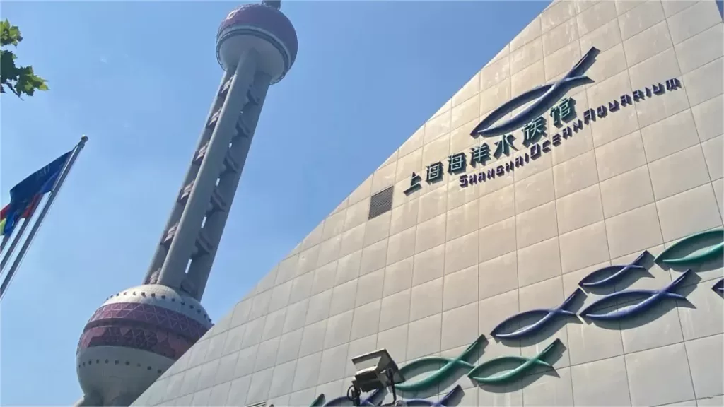 Shanghai Oceaanaquarium - Kaartje, openingstijden, hoogtepunten en tips