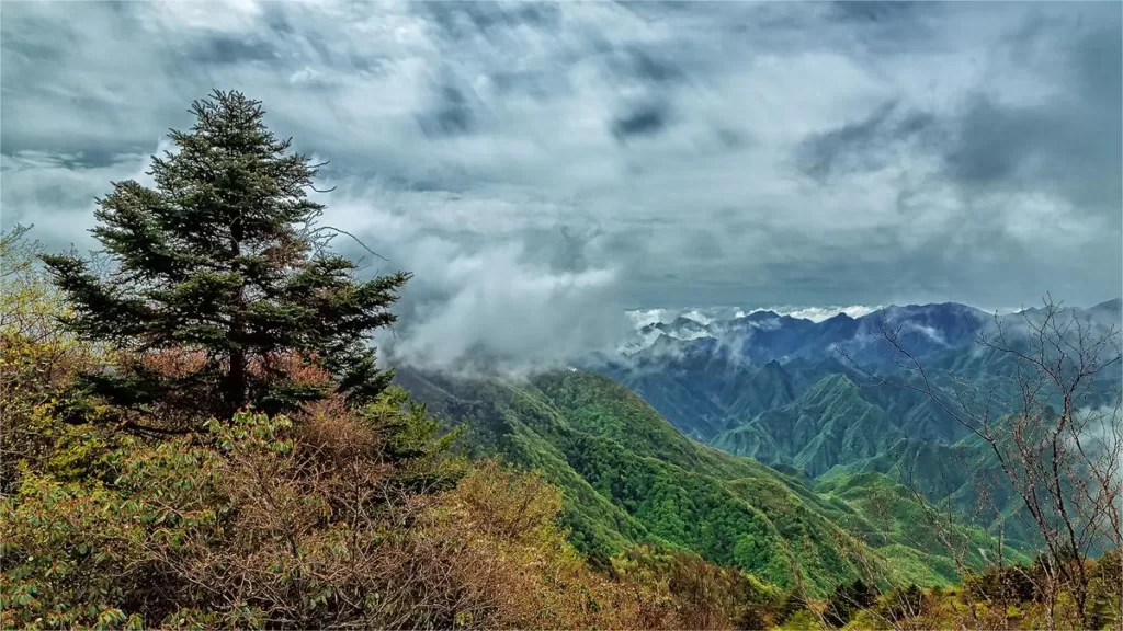 Shennong Peak Scenic Area - Eintrittskarten, Öffnungszeiten, Lage und Highlights