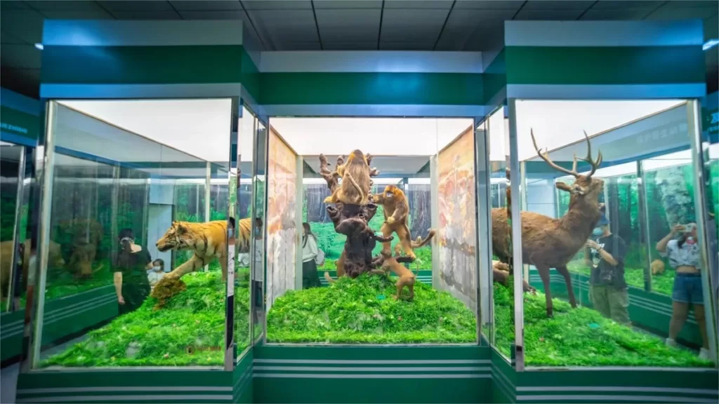 Shennongjia Museum für Naturgeschichte - Eintrittskarten, Öffnungszeiten, Standort und Highlights