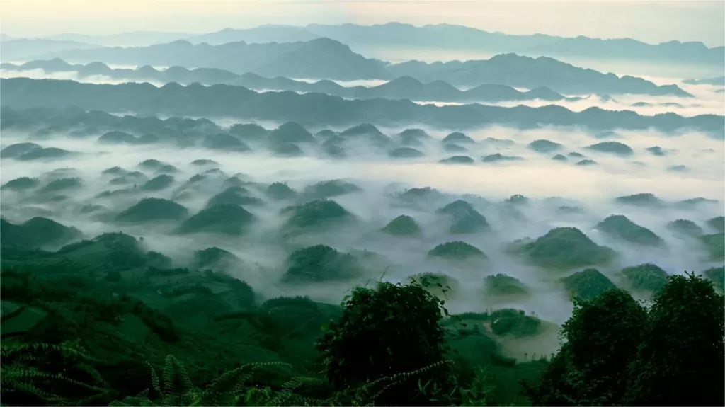 Shunan Bamboo Forest, Sichuan - Eintrittspreise, Öffnungszeiten, Lage und Highlights