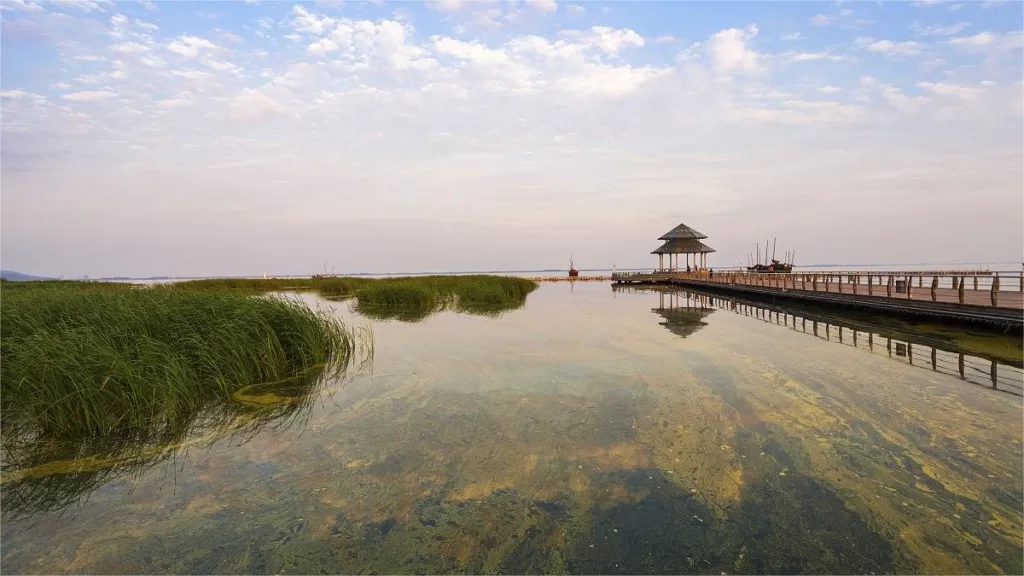 Taihu Wetland Park - Prix des billets, heures d'ouverture, emplacement et points forts