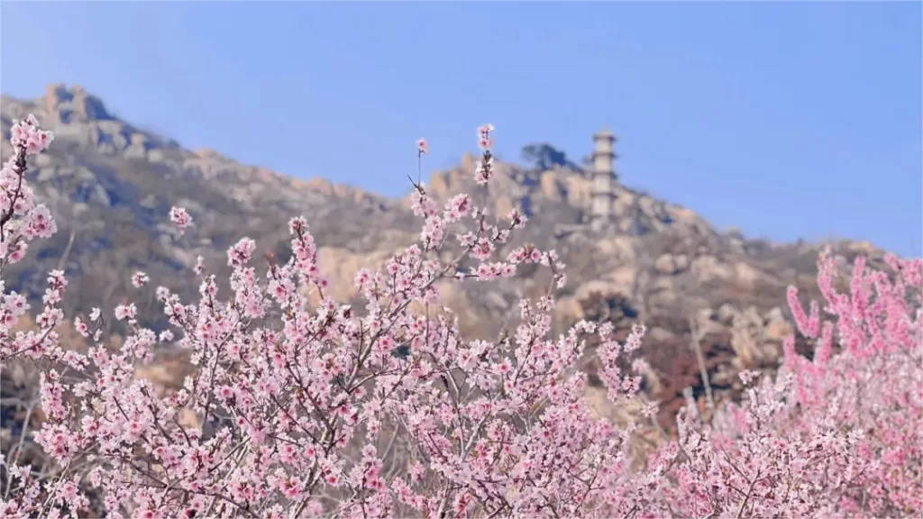 Taohuajian Scenic Area, Lianyungang - Kaartje, openingstijden, locatie en hoogtepunten