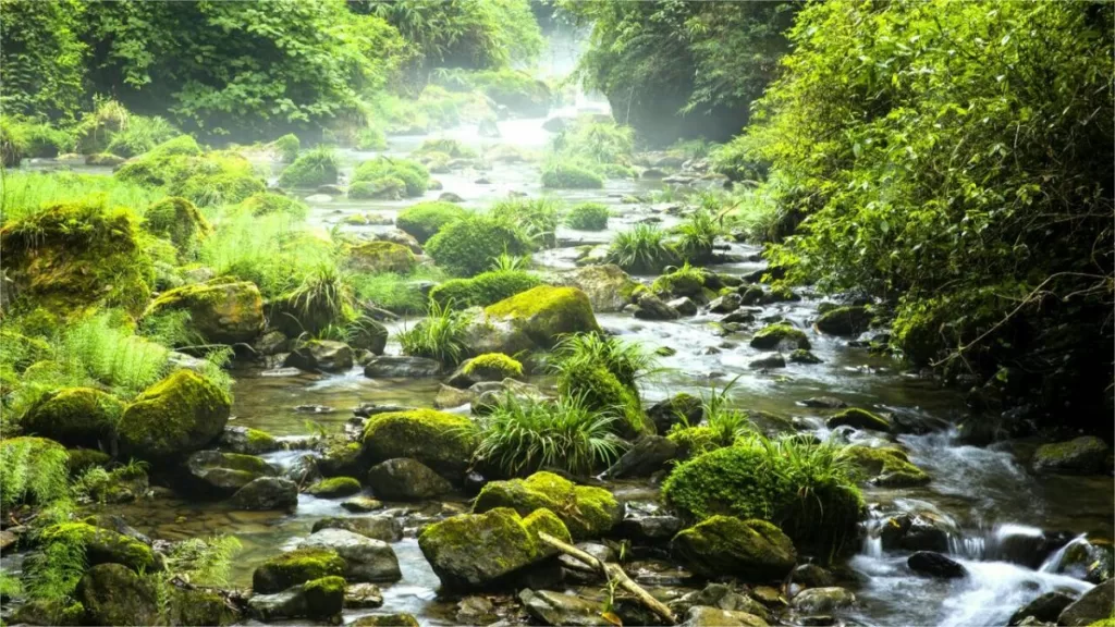 Tiexi Stream Scenic Area (Iron Stream), Zhenyuan - Bilhete, horário de abertura, localização e destaques