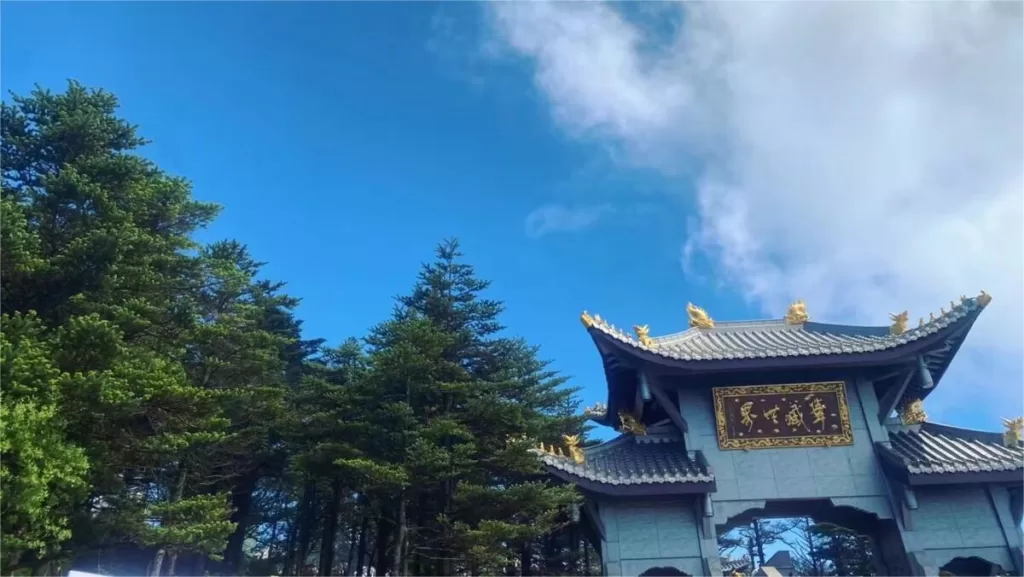 Árvores no Monte Emei - uma parte integrante do encanto da montanha