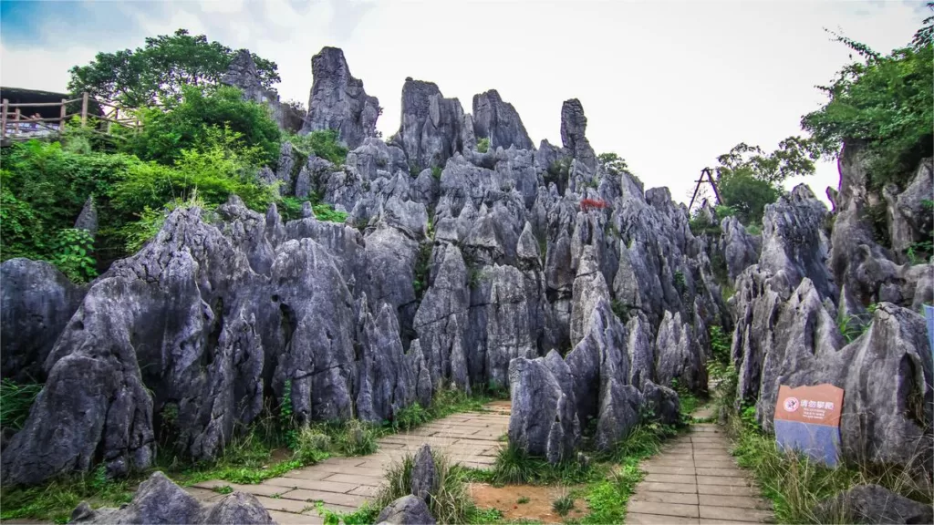 Wansheng Stone Forest – Ticket, Opening Hours, Location, and Highlights