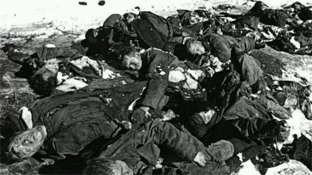 O Massacre de Nanjing foi planeado