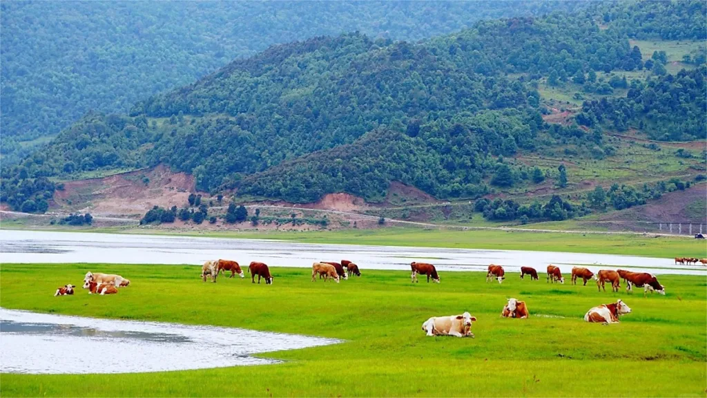 Lago Wenhai, Lijiang - Bilhete, horário de funcionamento, localização e destaques