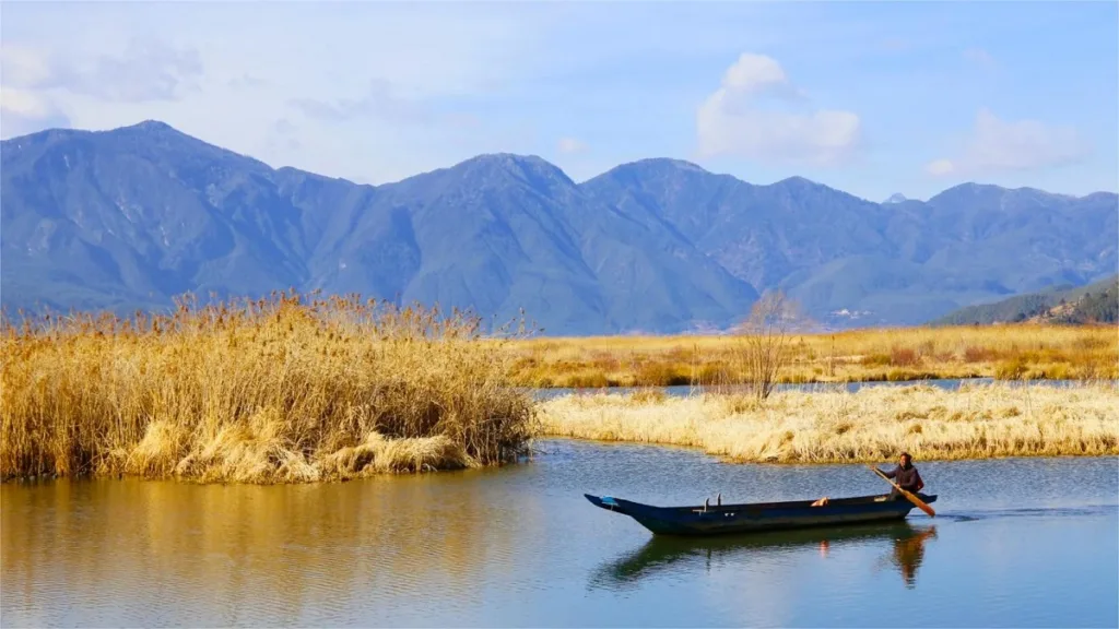 Lac de l'Ouest, Eryuan - Billets, heures d'ouverture, emplacement et points forts