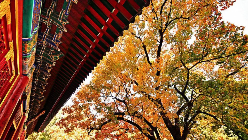 Xiangshan Park, Beijing - Billets, heures d'ouverture, points forts et conseils