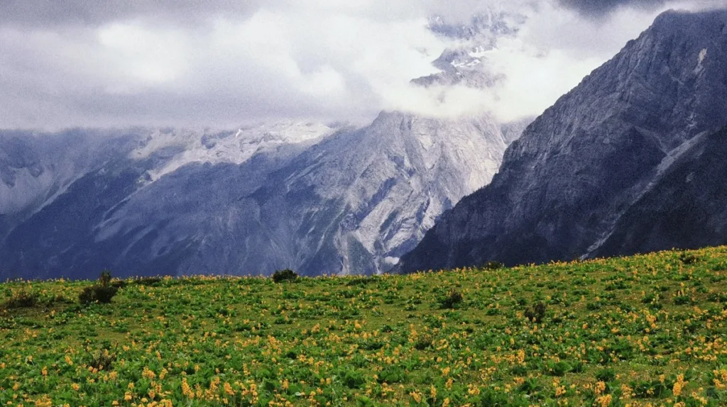 Yak Meadow at Jade Dragon Snow Mountain - Kaartje, openingstijden, locatie en hoogtepunten