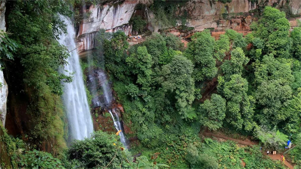 Parc national forestier de Yanziyan - Billets, heures d'ouverture, emplacement et points forts